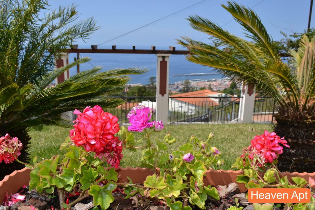 Villa Henriques Funchal  Luaran gambar